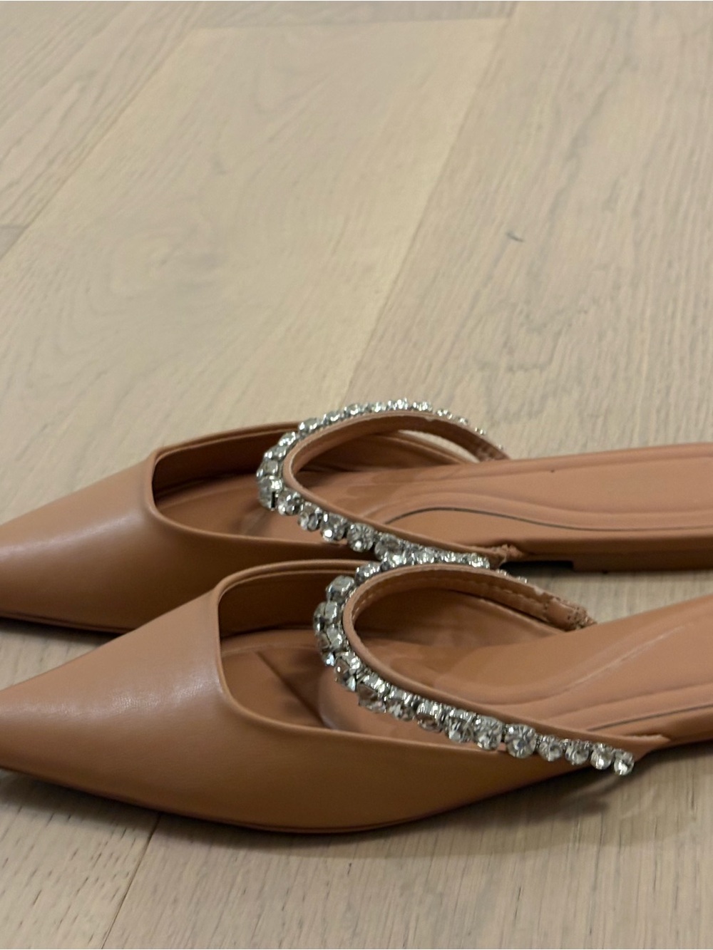 Zara Embellished Nude Pointed-Toe Mule